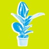Логотип телеграм канала @content_ficusa — Контентный фикус 🟡
