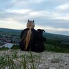 Логотип телеграм канала @content_yao — Жизнь с Яо 🙀