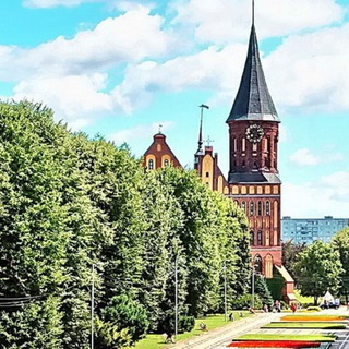 Логотип телеграм канала @convkneiphof — Беседы на Кнайпхофе