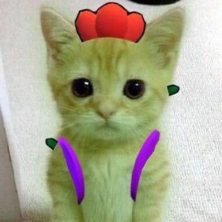 Логотип телеграм канала @coolteame — Nulls brawl stars