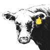 Логотип телеграм канала @cooperativemeat — Мясной кооператив «Старая корова»