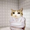 Логотип телеграм канала @cooxpa — s
