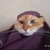 Логотип телеграм канала @copchenyyy — Копченый