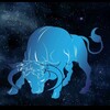 Logo of telegram channel copimaster — Spot Trading ✨Star Bull