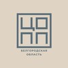 Логотип телеграм канала @copp31bel — ЦОПП31