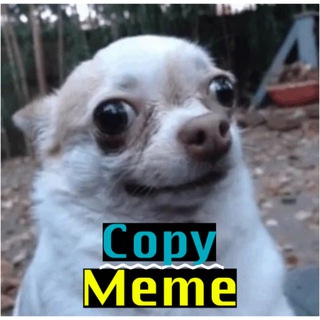 لوگوی کانال تلگرام copy_meme — Copy Meme