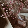 Логотип телеграм канала @coreawb15 — 🌸 Весенний вайб //эстетика🌷