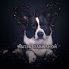 Логотип телеграм канала @corgiblac — забивные тут