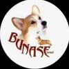 Логотип телеграм канала @corgibunase — Питомник BUNASE🐶