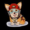 Logo of telegram channel corgiteam1788 — CorGi_Team
