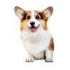 Логотип телеграм канала @corgosha1 — corgosha