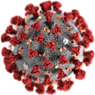 Logotipo do canal de telegrama corona_atila - Explicações sobre coronavírus - Atila