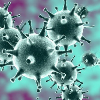 Логотип телеграм канала @coronavirus_control — Коронавирус 🦠 Сегодня. Новости. Статистика. Карта