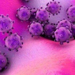 Telegram channel CORONAVIRUS HABARLAR logo