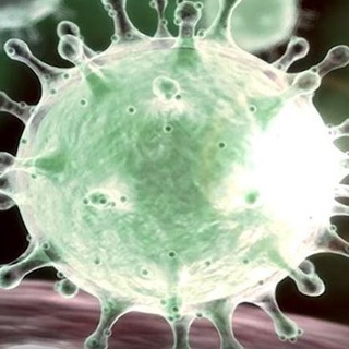 Логотип телеграм канала @coronavirus2019n_cov — Коронавирус COVID новости