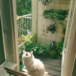 Logo of telegram channel corpsebride — Cry me a River