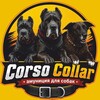 Логотип телеграм канала @corsocollar — Corso Collar/ Амуниция для собак