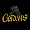 Логотип телеграм канала @corvusggteam — CORVUS GG