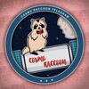Logo of telegram channel cosmoraccoon — CosmoRaccoon