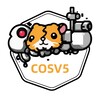 电报频道的标志 cosv5cn — COSV5|发布全网流出