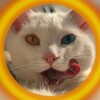 Telegram channel КОТИК ПАТРІОТИК🇺🇦 logo