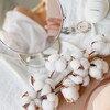 Логотип телеграм канала @cottondecor — Cotton flowers 🤍 │ Букеты из стабилизированных цветов