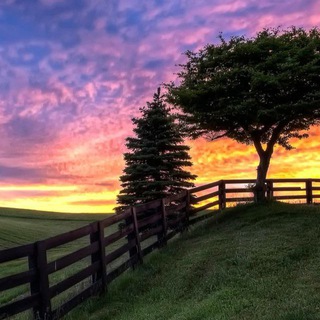 Логотип телеграм канала @countrylifeforyou — countrylifeforyou