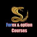 لوگوی کانال تلگرام coursseoptionforex — كورسات