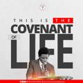 Logo saluran telegram covenantoflife — The Covenant of Life