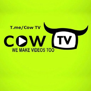 لوگوی کانال تلگرام cowtv — 📺 تلویزیون گاوداری
