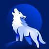 Logo of telegram channel coytx — coytx.com