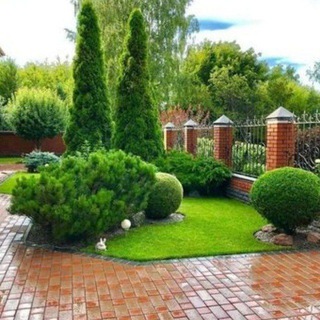 Логотип телеграм канала @cozy_garden — 🍀Уютный Сад🍀Ландшафт🌲