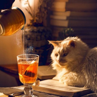 Логотип телеграм канала @cozy_tavern — Уютненькая таверна"Чашечка чая"(◕‿◕)