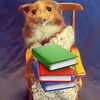 Логотип телеграм канала @cozybasis — Уютный разбирает | Инвестиции