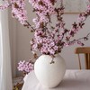 Логотип телеграм канала @cozyhomedecors — Уютный дом 🏡🌿