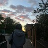Логотип телеграм канала @cpolinochka — полиночка