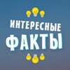 Логотип телеграм канала @crabxcoin — -