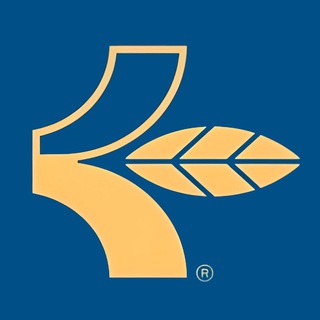 Logo of telegram channel craftwood_uz — CRAFTWOOD