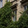 Логотип телеграм канала @cralisphoto — фотографирую