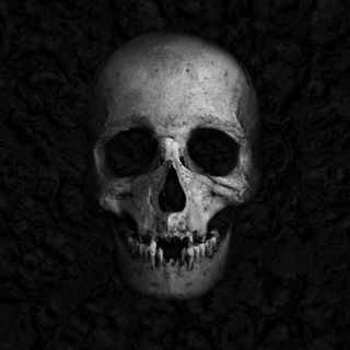 Telegram kanalining logotibi cranium_01 — Cranium 🔞
