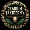 Логотип телеграм канала @cranium_taxidermy — Мастерская "CRANIUM" | таксидермия
