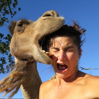 Logo of telegram channel crazy_moments_usa — Crazy Moments USA