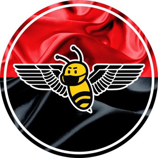 Логотип телеграм -каналу crazybeeua — Шалена Бджілка