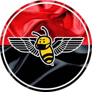 Telegram channel Шалена Бджілка logo