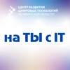 Логотип телеграм канала @crct174 — на ТЫ с IT