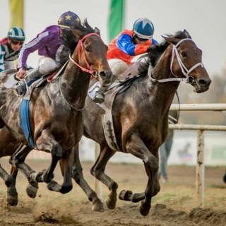 Online - Telegram Channels