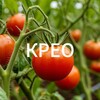 Логотип телеграм канала @creowb — Укрывные материалы от КРЕО