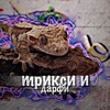 Логотип телеграм канала @crested_geckos_lover — гекконы под дозой"