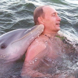 Логотип телеграм канала @crestofawave — На гребне волны.