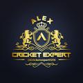 Telegram channel CRICKET EXPERT™ logo